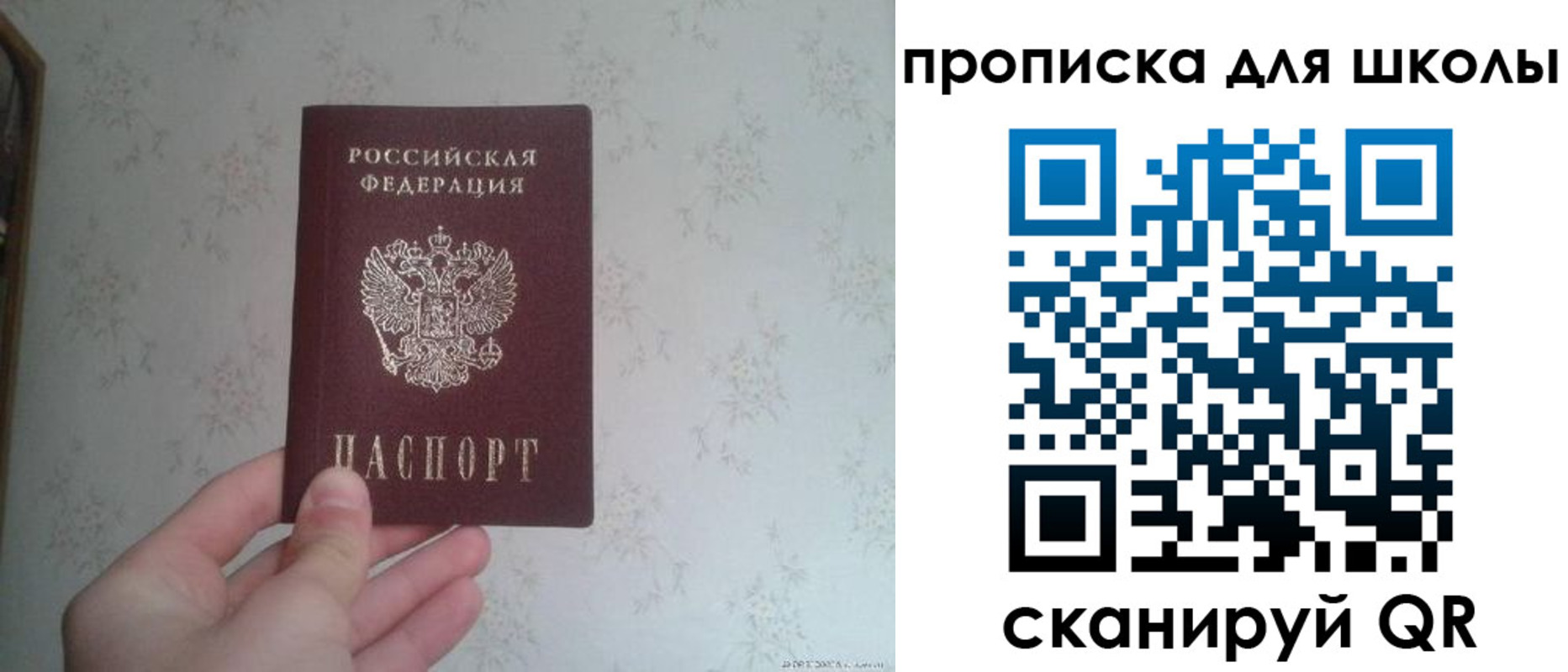 прописка в квартире в Домодедово